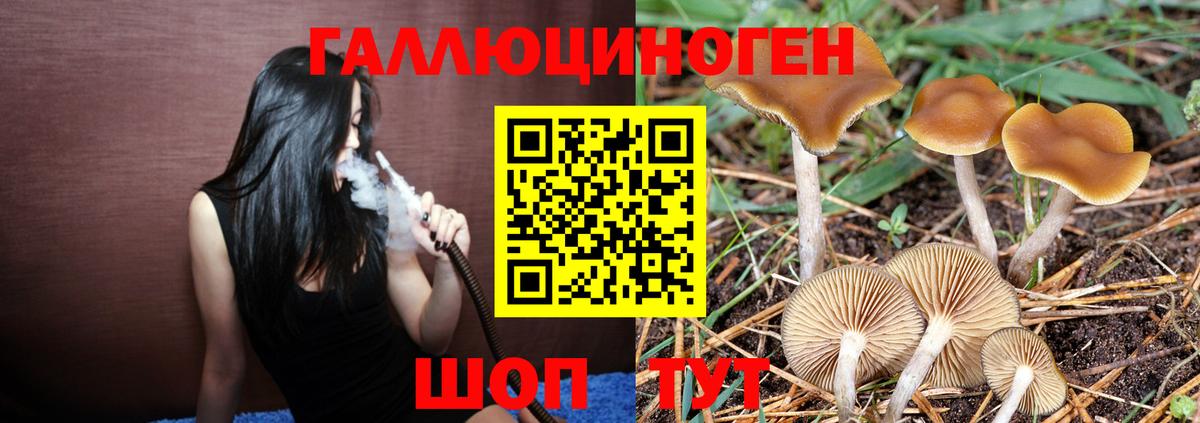 Галлюциногенные грибы MAGIC MUSHROOMS Шелехов